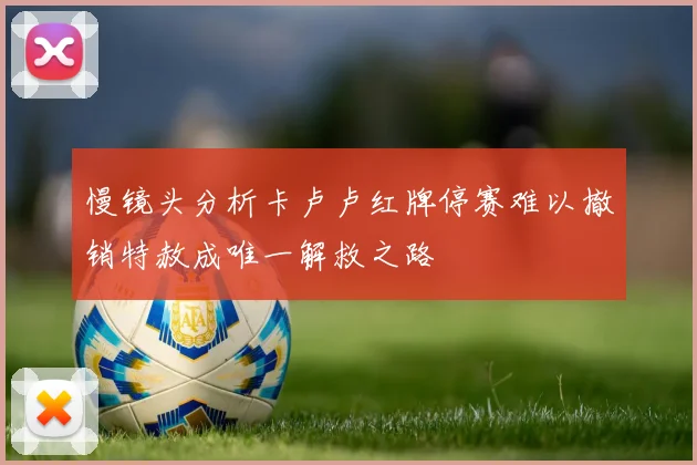 慢镜头分析卡卢卢红牌停赛难以撤销特赦成唯一解救之路