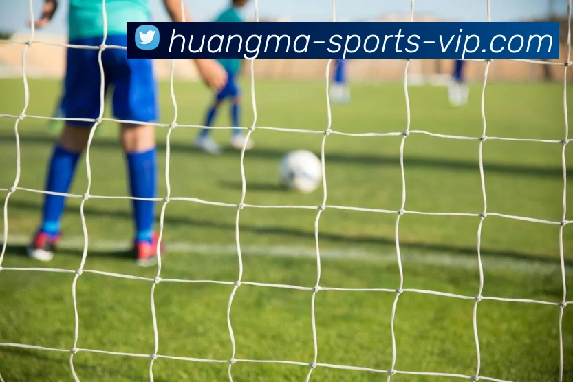 皇马体育APP 封面图